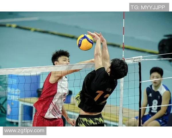 重庆排球队节奏之争引发热议球迷观点各异引发讨论